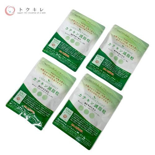 DMJえがお生活 カテキン減脂粒 62粒入り 4袋セット