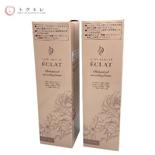 フューチャーラボ ヘアボーテ エクラ ボタニカル エアカラーフォーム up (白髪用) #ダークブラウン 150g 2本セット