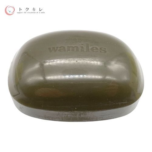 wamiles ワミレスコスメティックス イオンヌクレイソープ ε (石けん) 100g (ディッシュなし) 2点セット