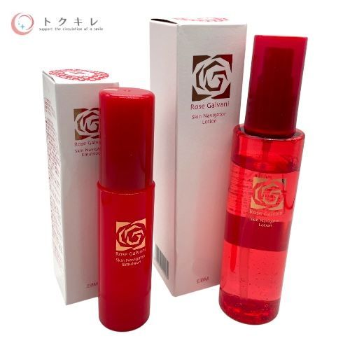 EBM (イービーエム) ローズガルヴァーニ スキンナビゲーターローション(化粧用) 100ml ＆ スキンナビゲーターエマルジョン(乳液) 29ml セット 2点セット